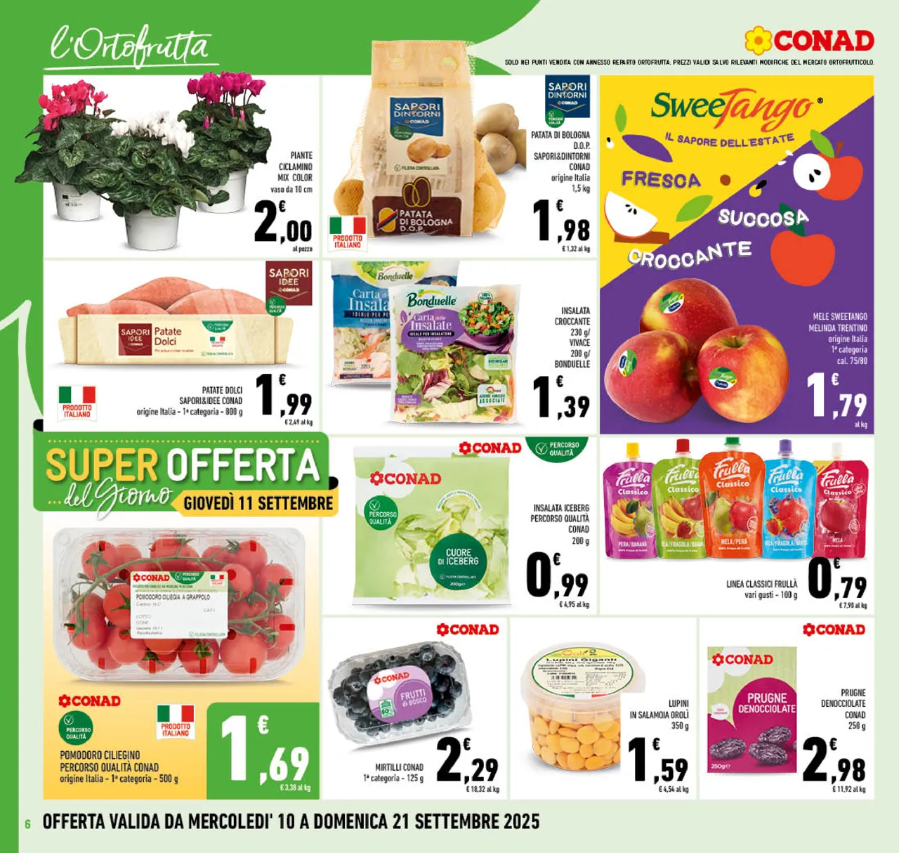 Pagina 6
