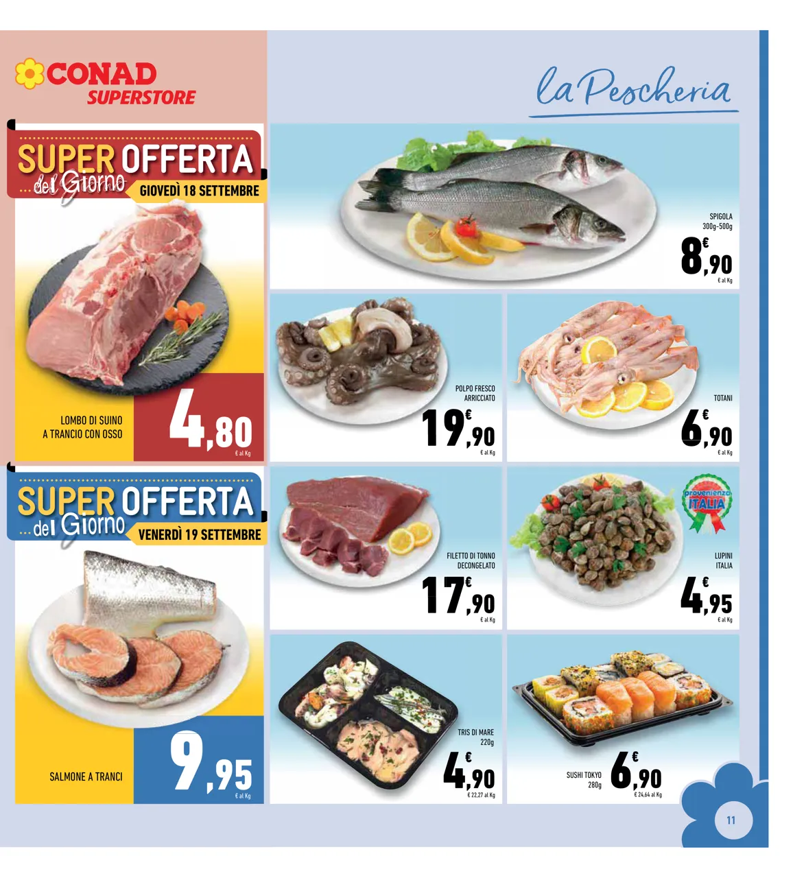 Pagina 11