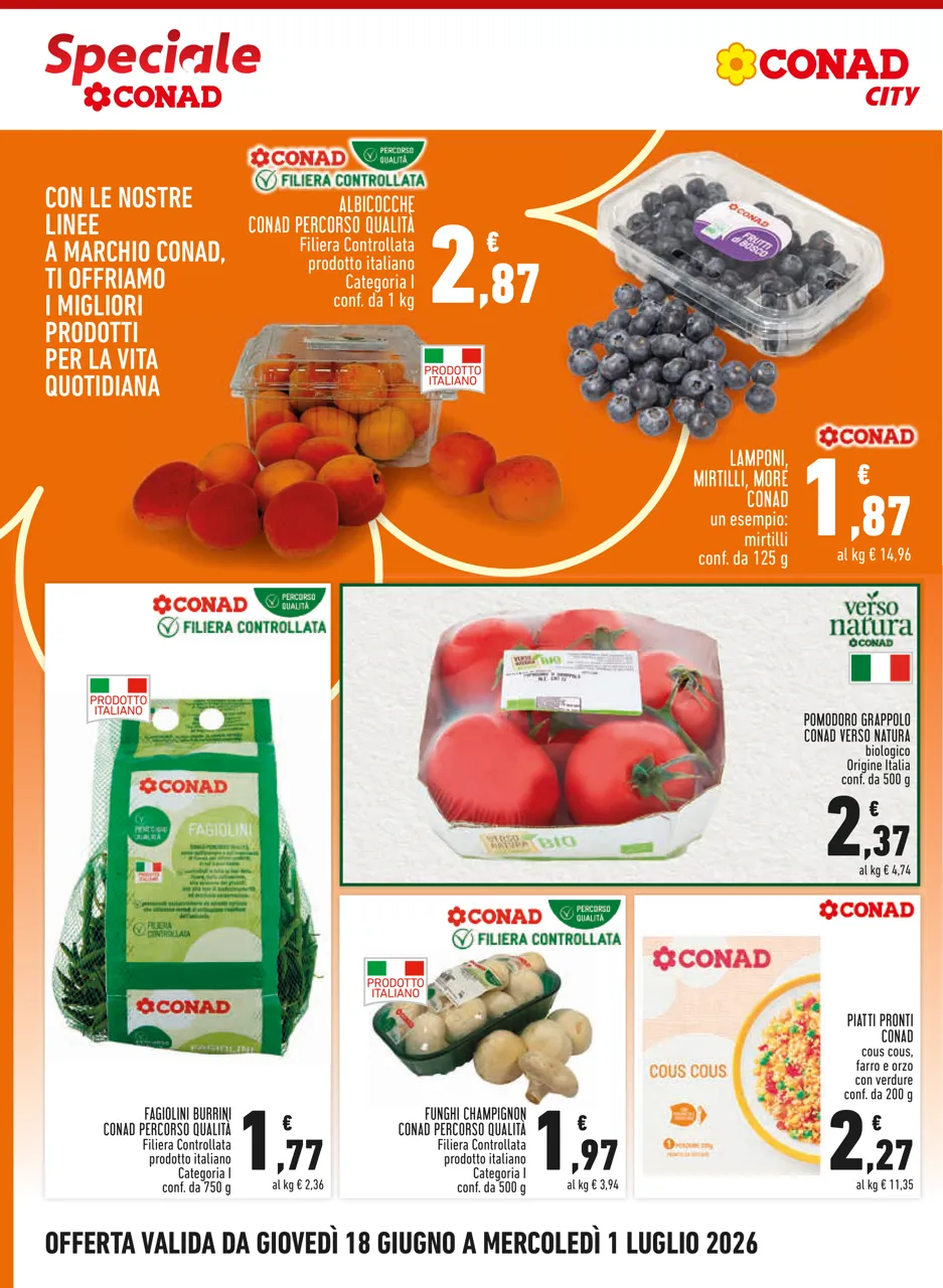 Pagina 2
