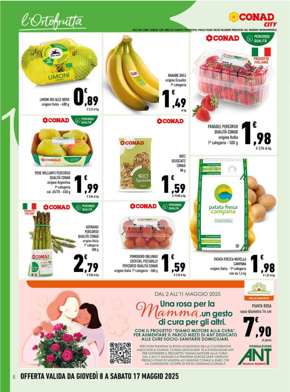 Pagina 6