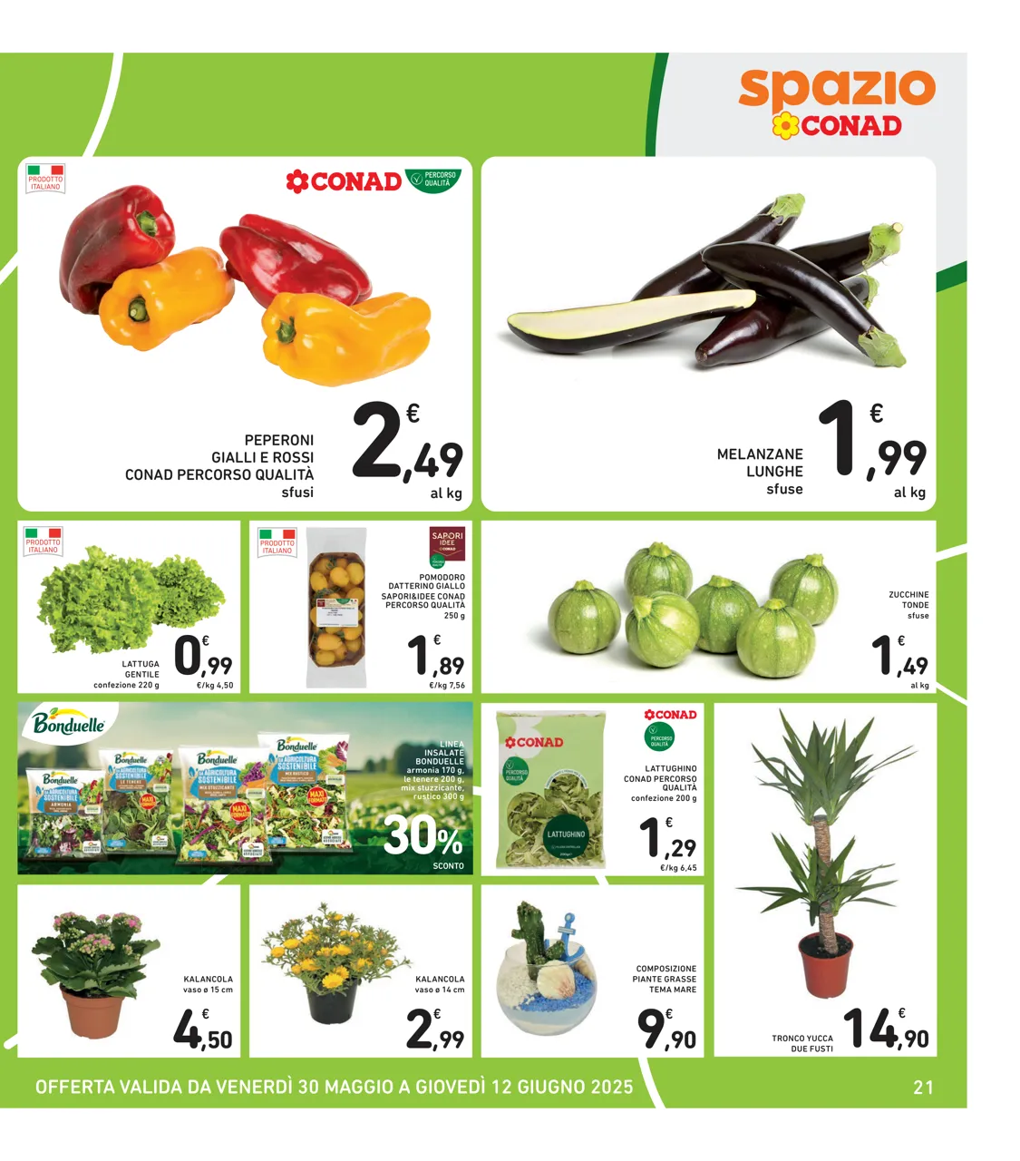 Pagina 21