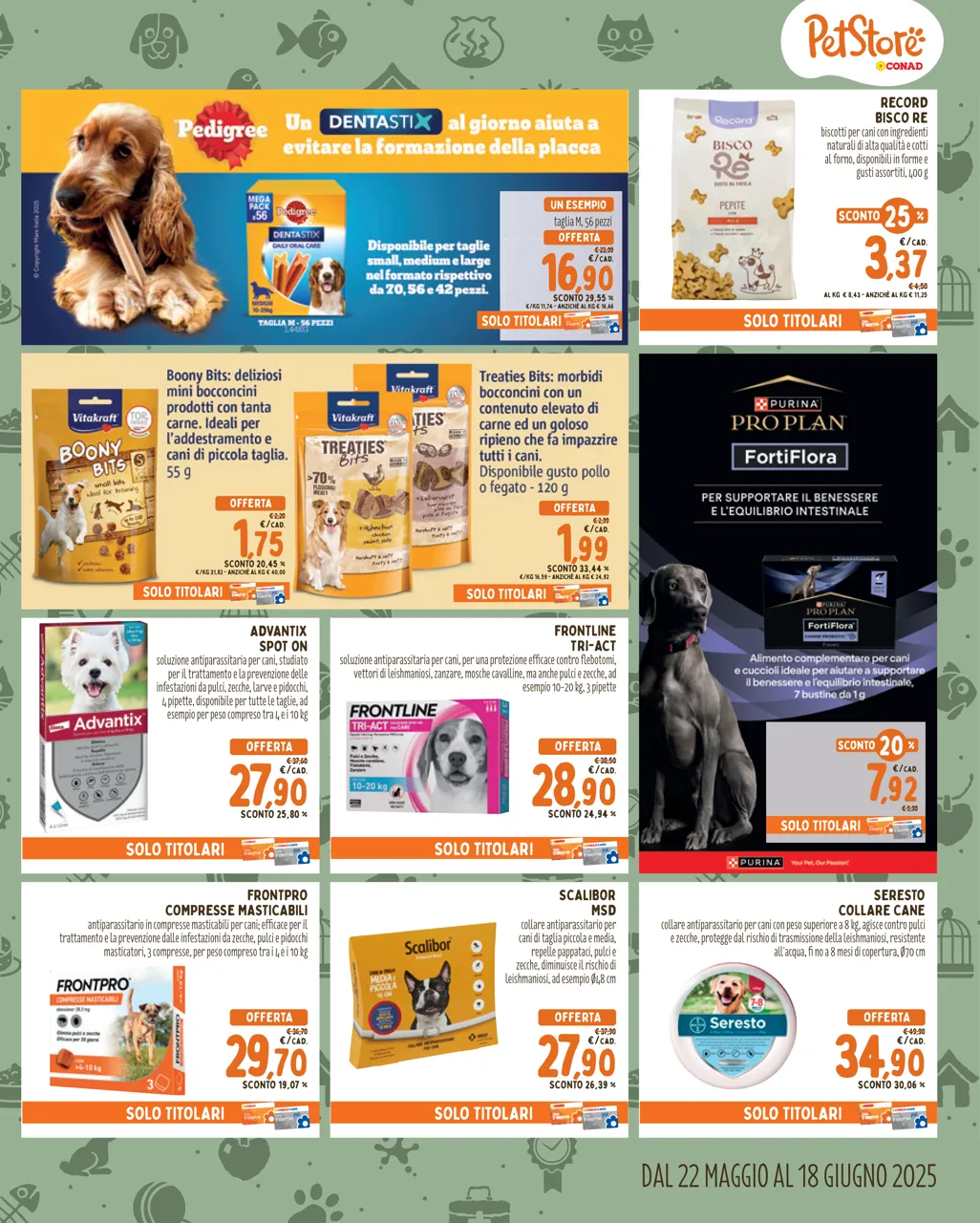 Pagina 3