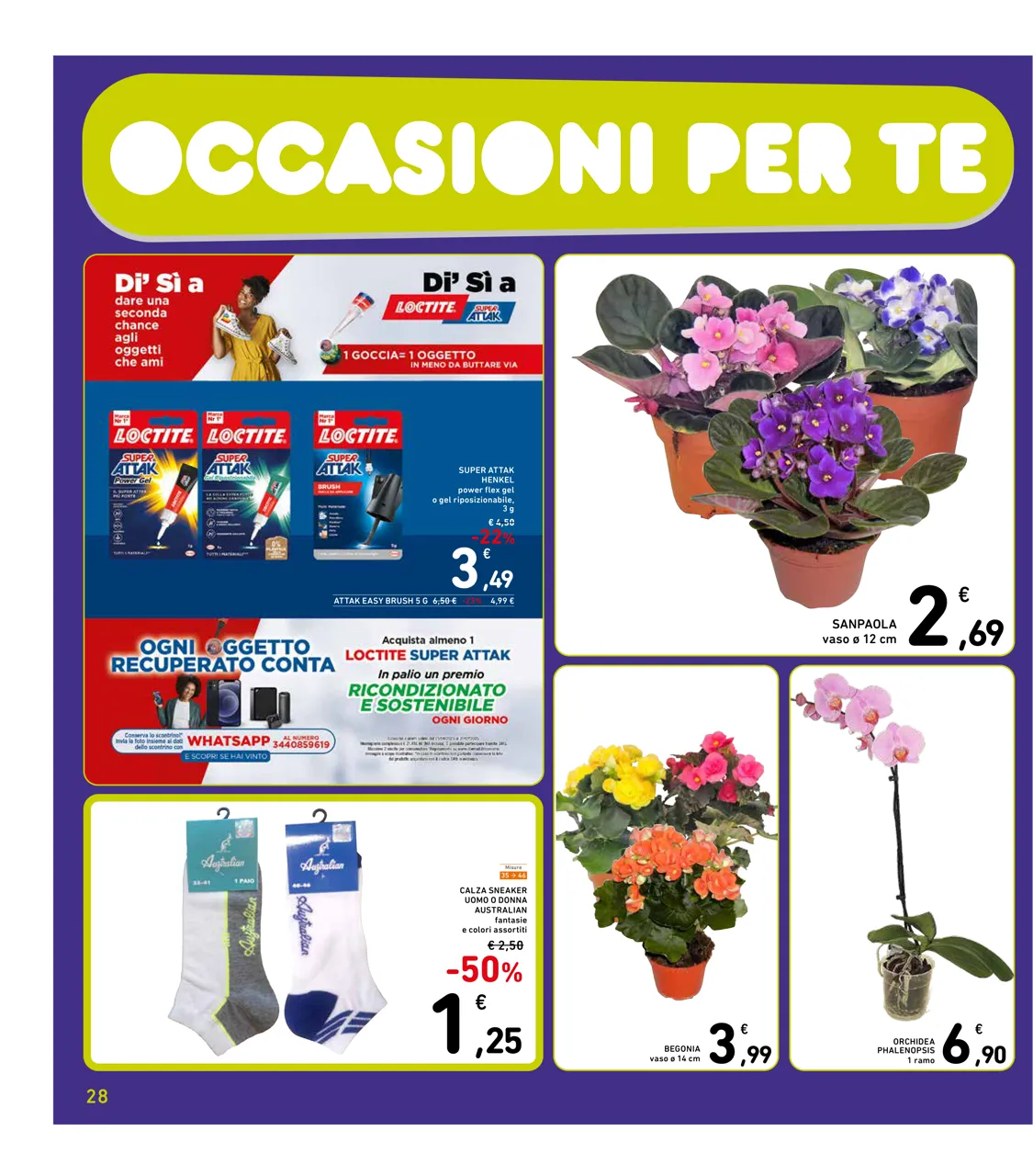 Pagina 28