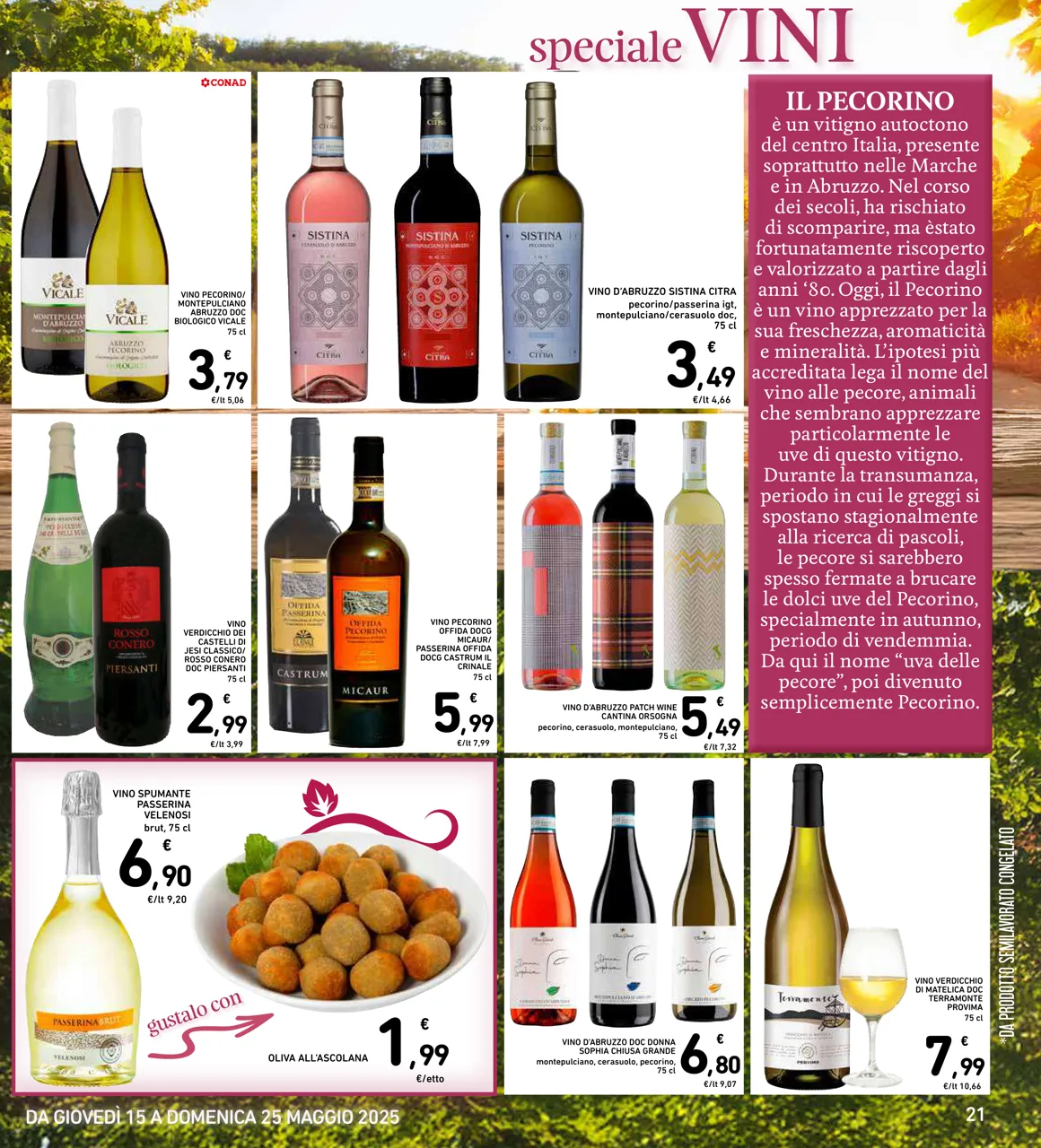Pagina 21