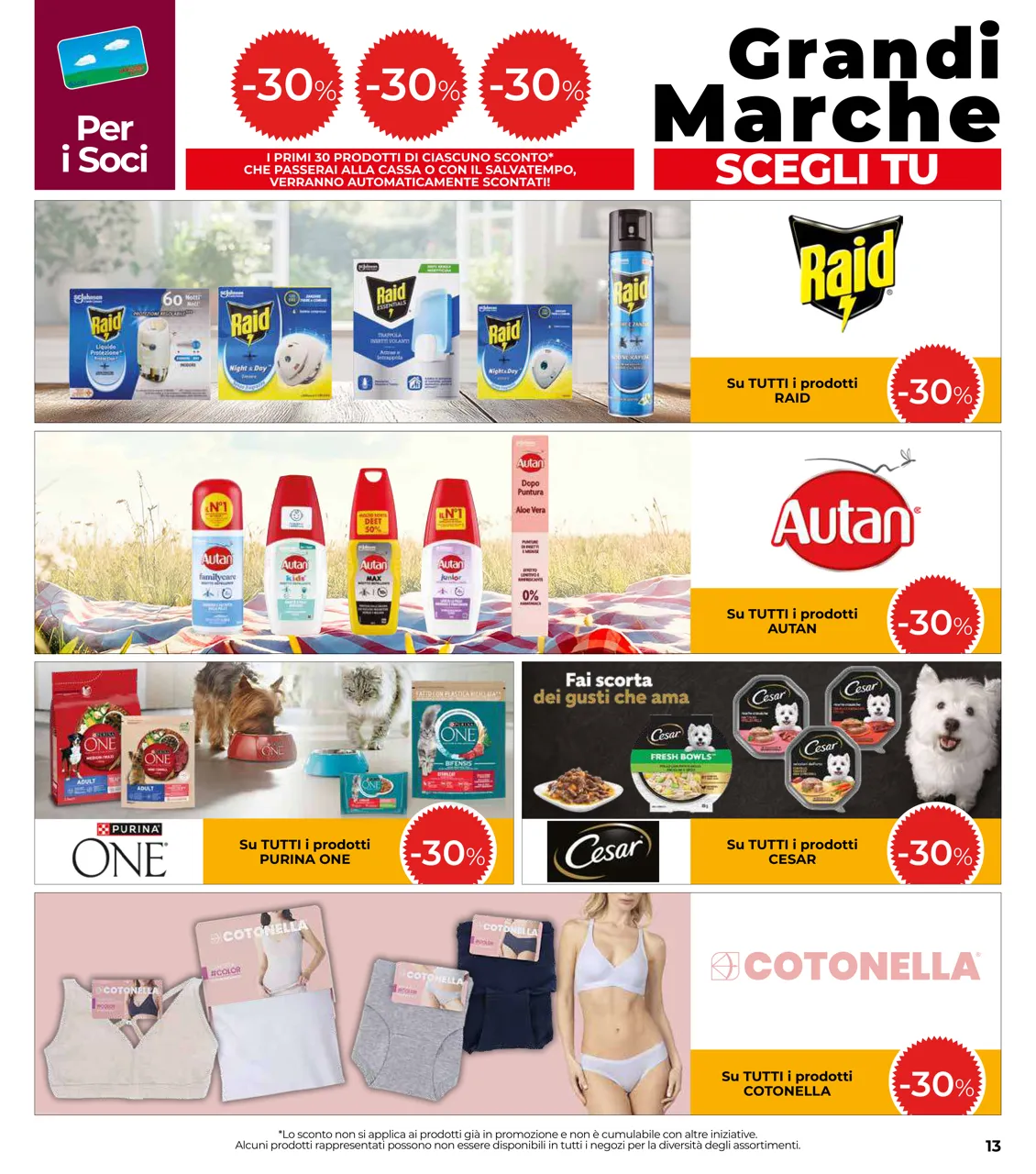 Pagina 13