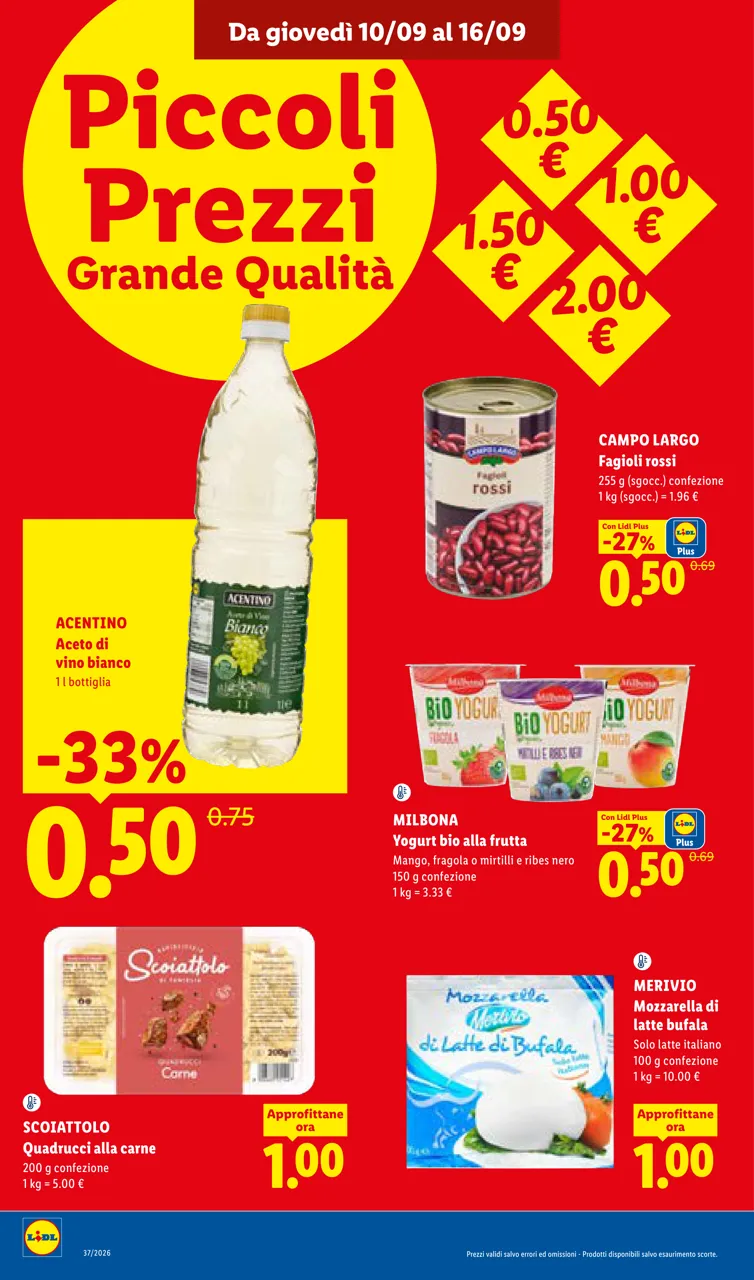 Pagina 8