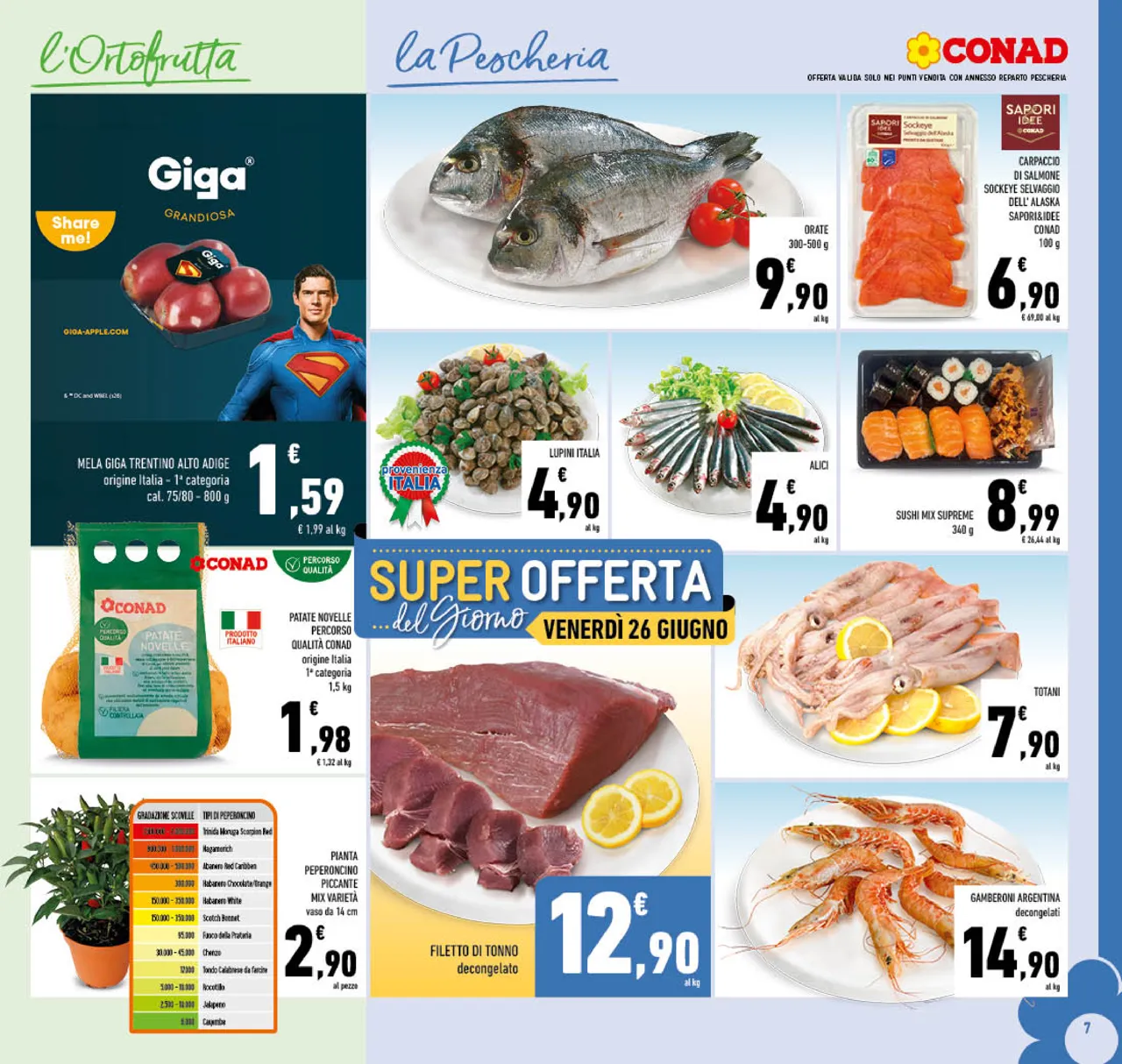 Pagina 7