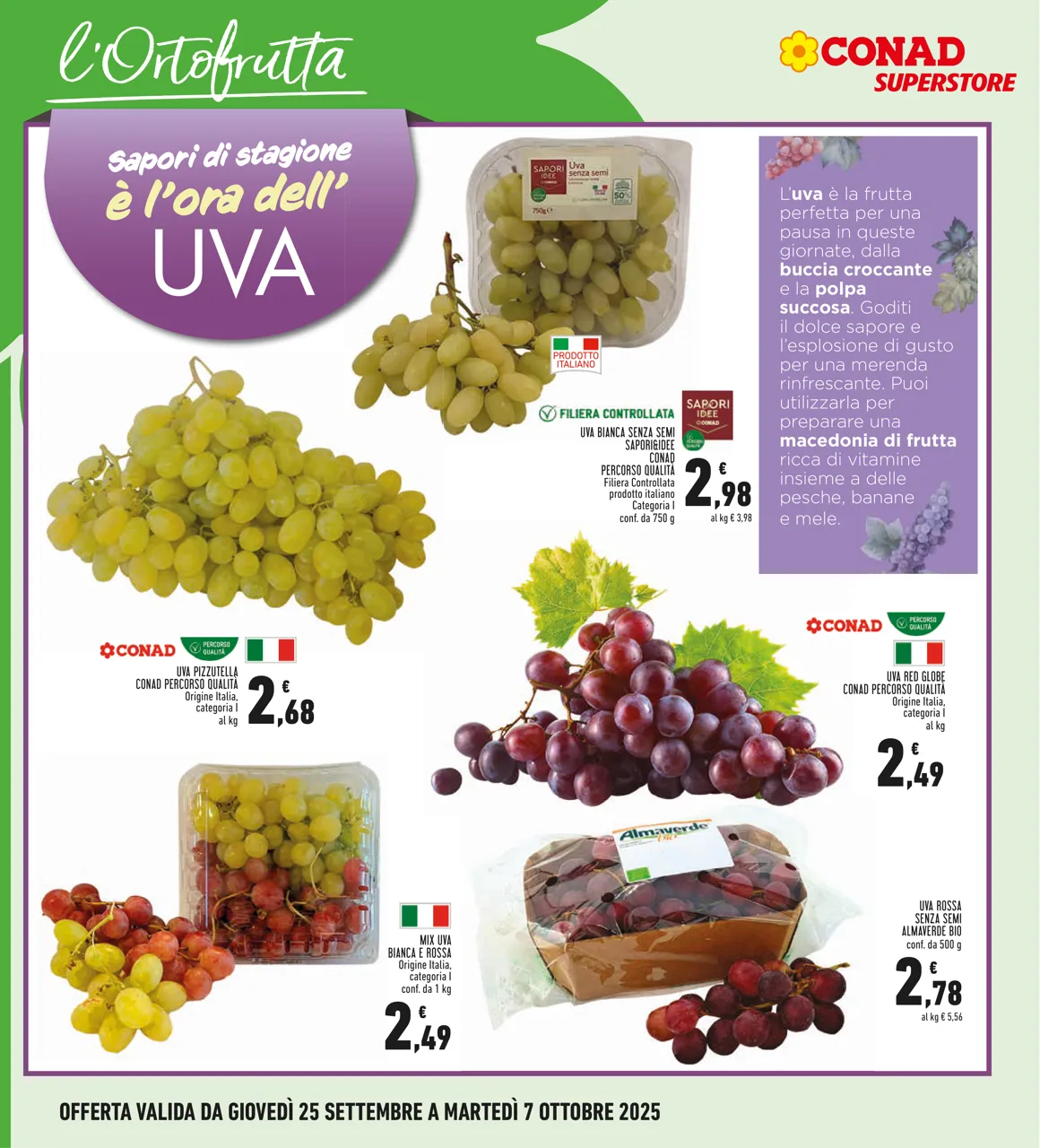 Pagina 8