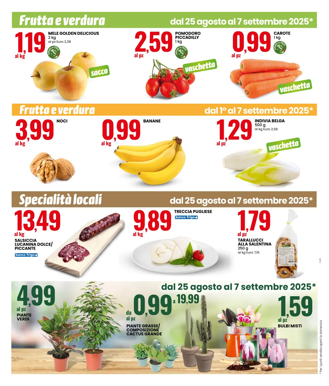Pagina 12