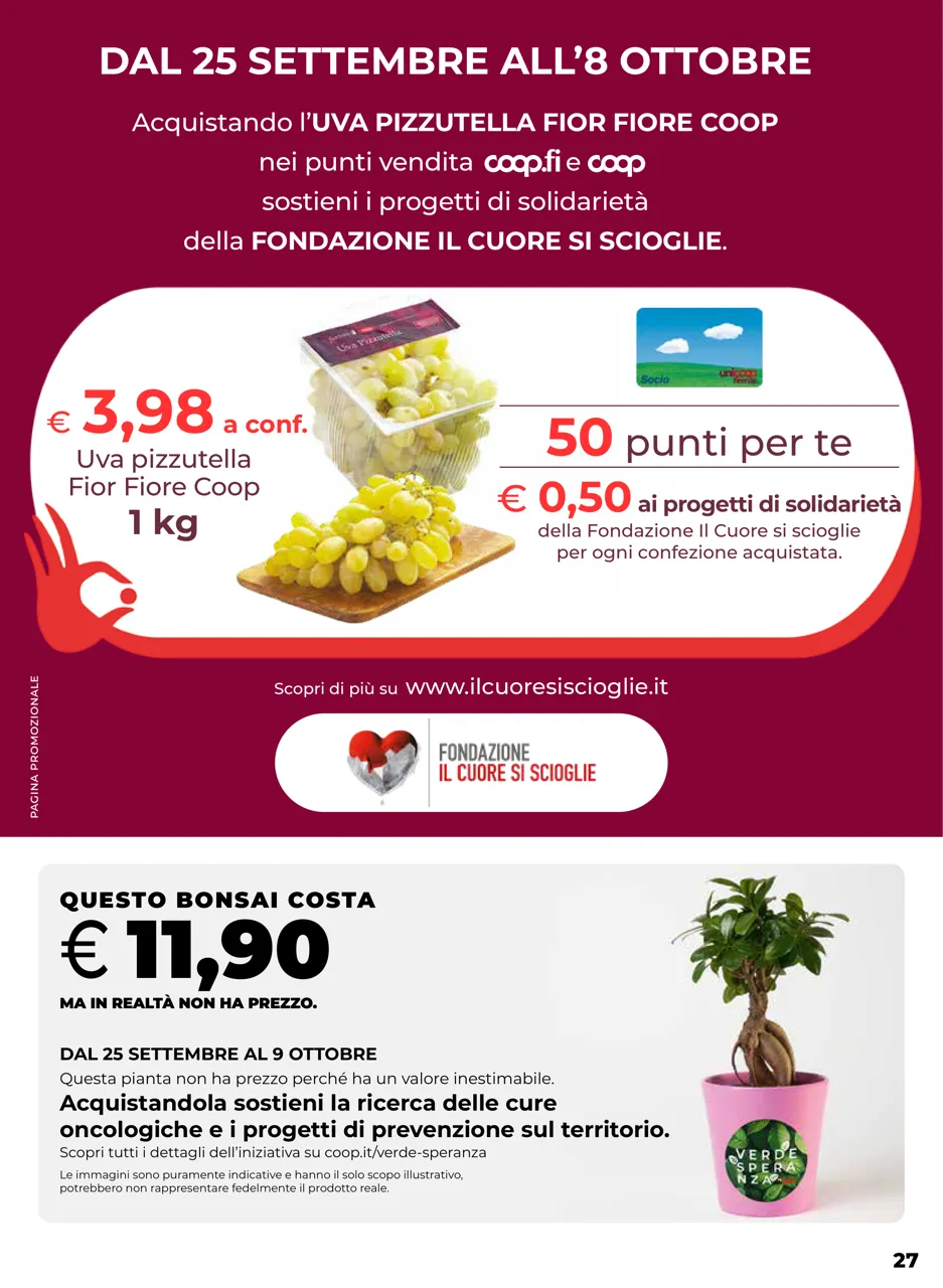 Pagina 27