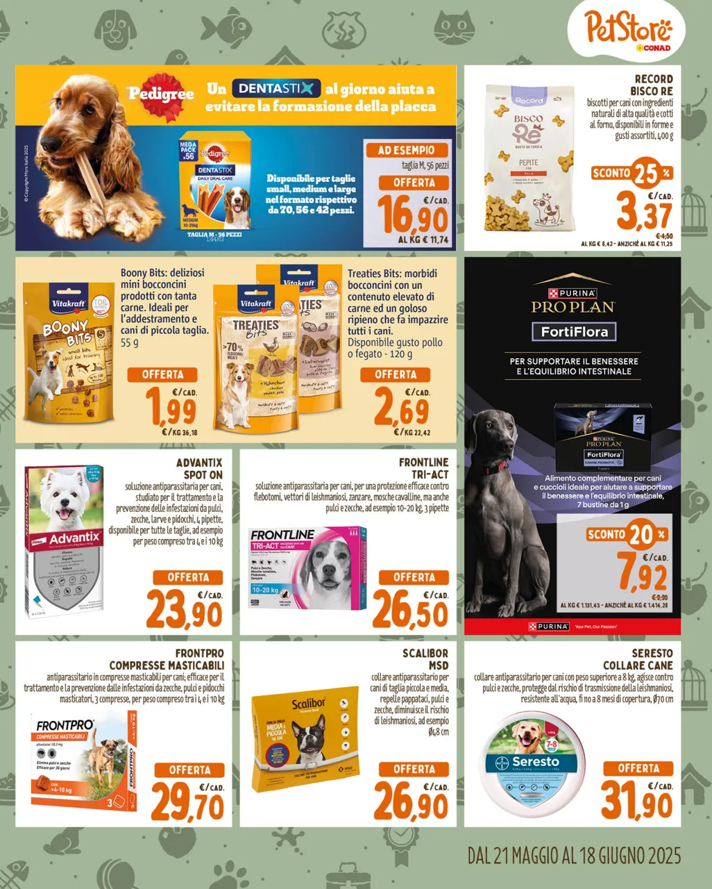 Pagina 3