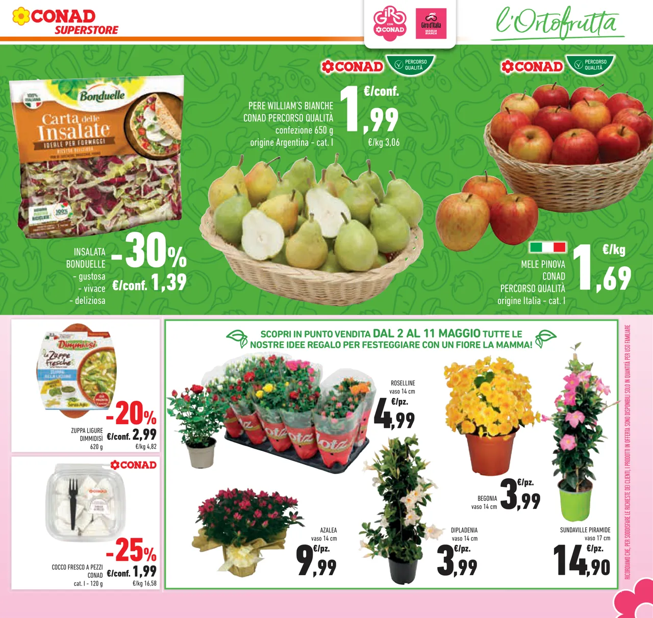 Pagina 31