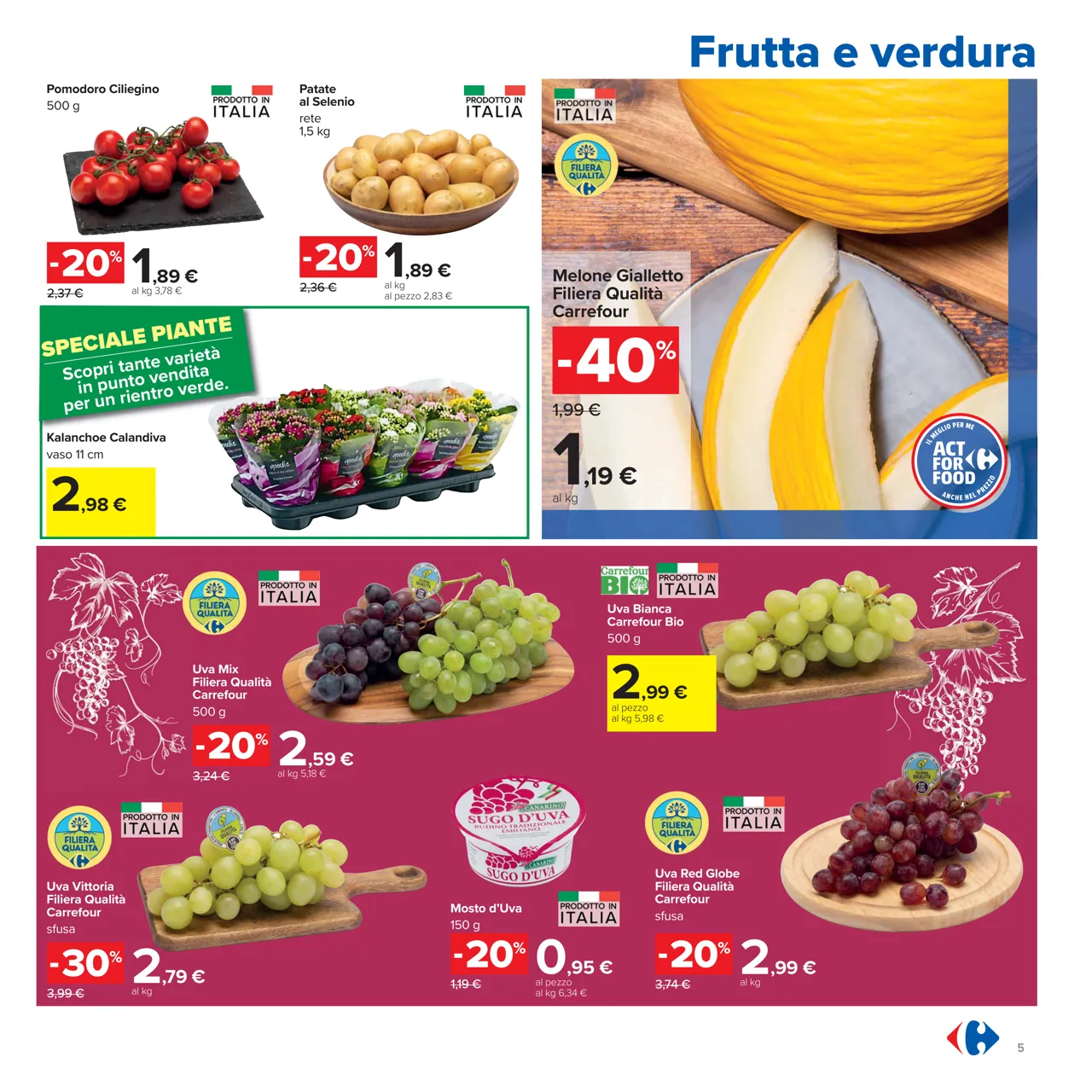 Pagina 5