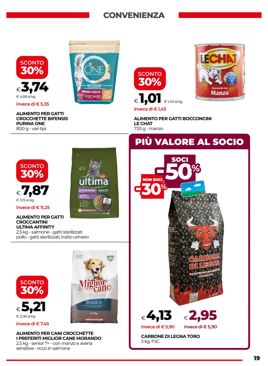 Pagina 19