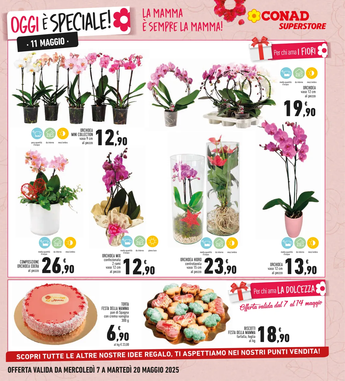 Pagina 9