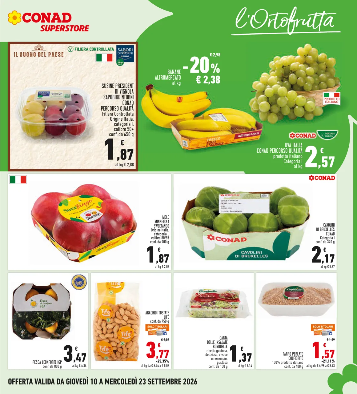 Pagina 5
