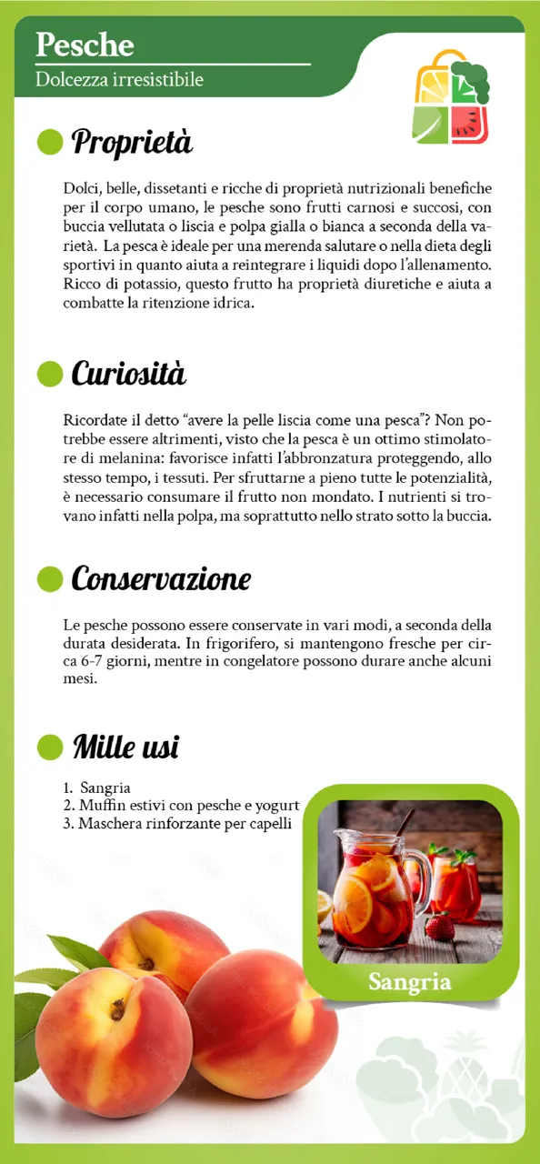 Pagina 6