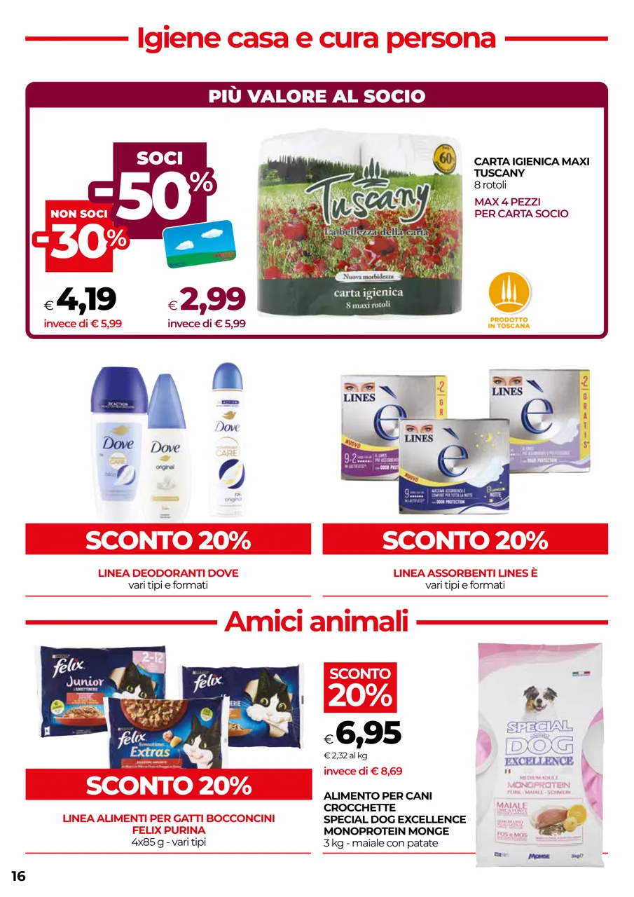 Pagina 16