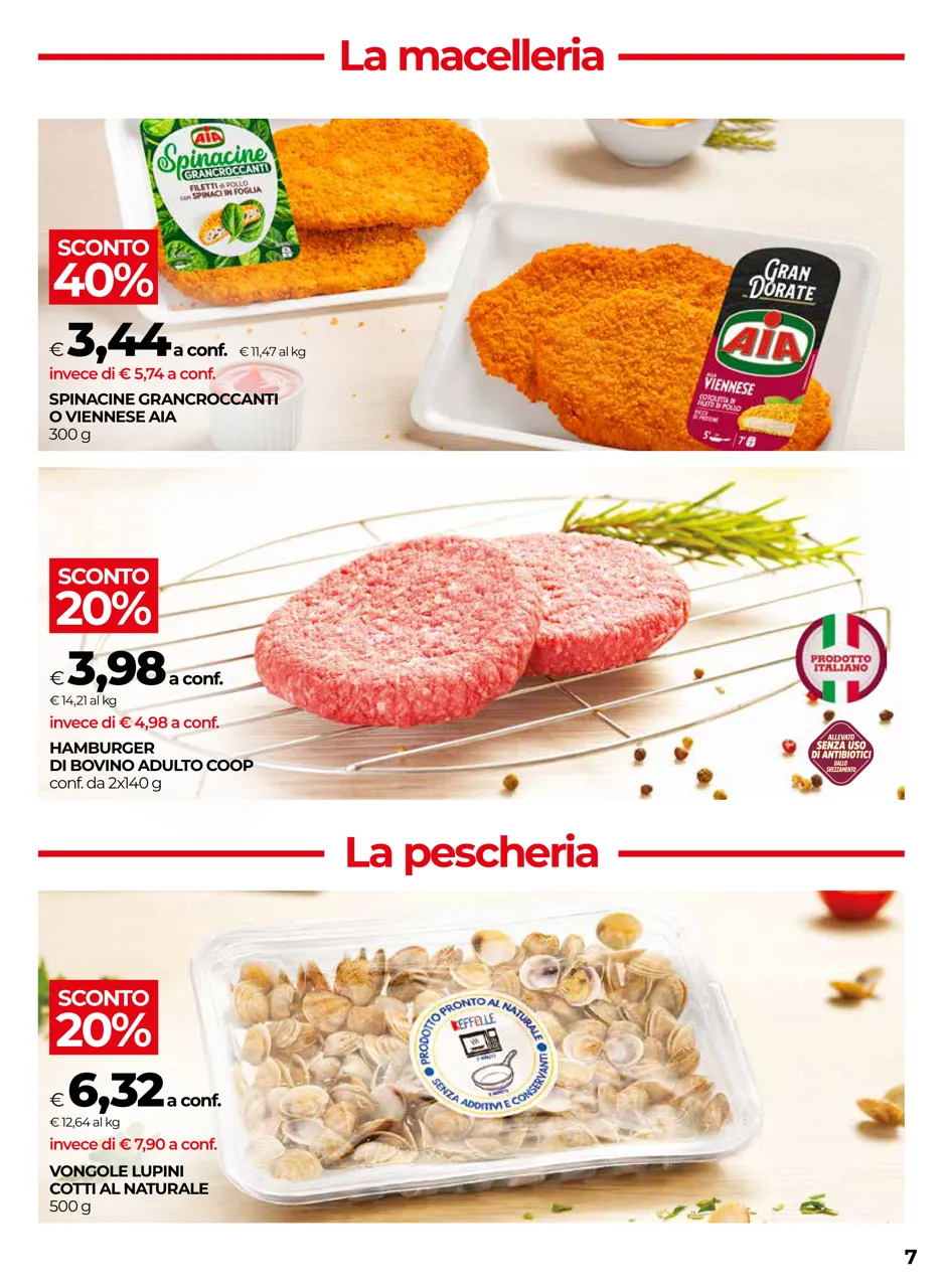Pagina 7