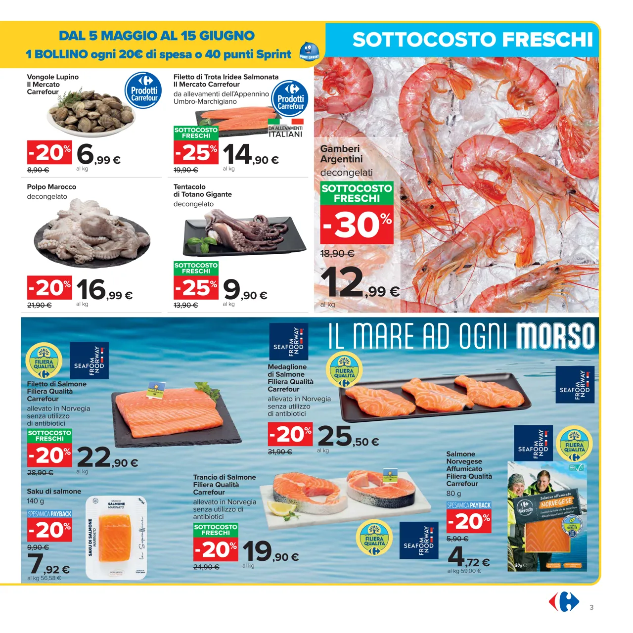 Pagina 3