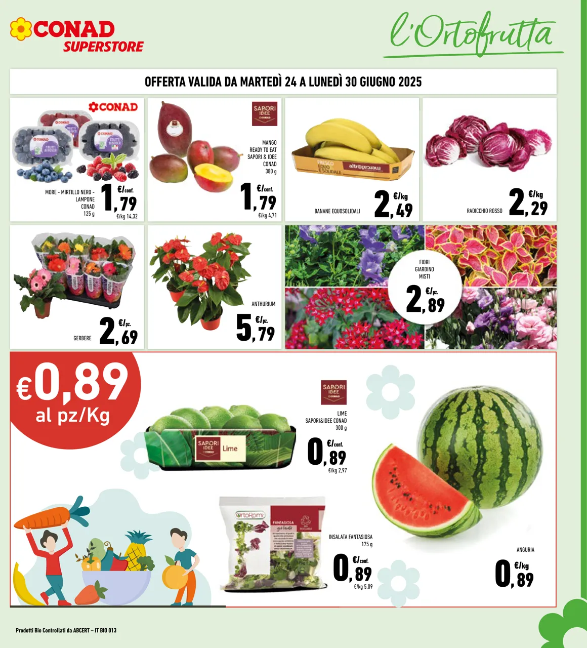 Pagina 3