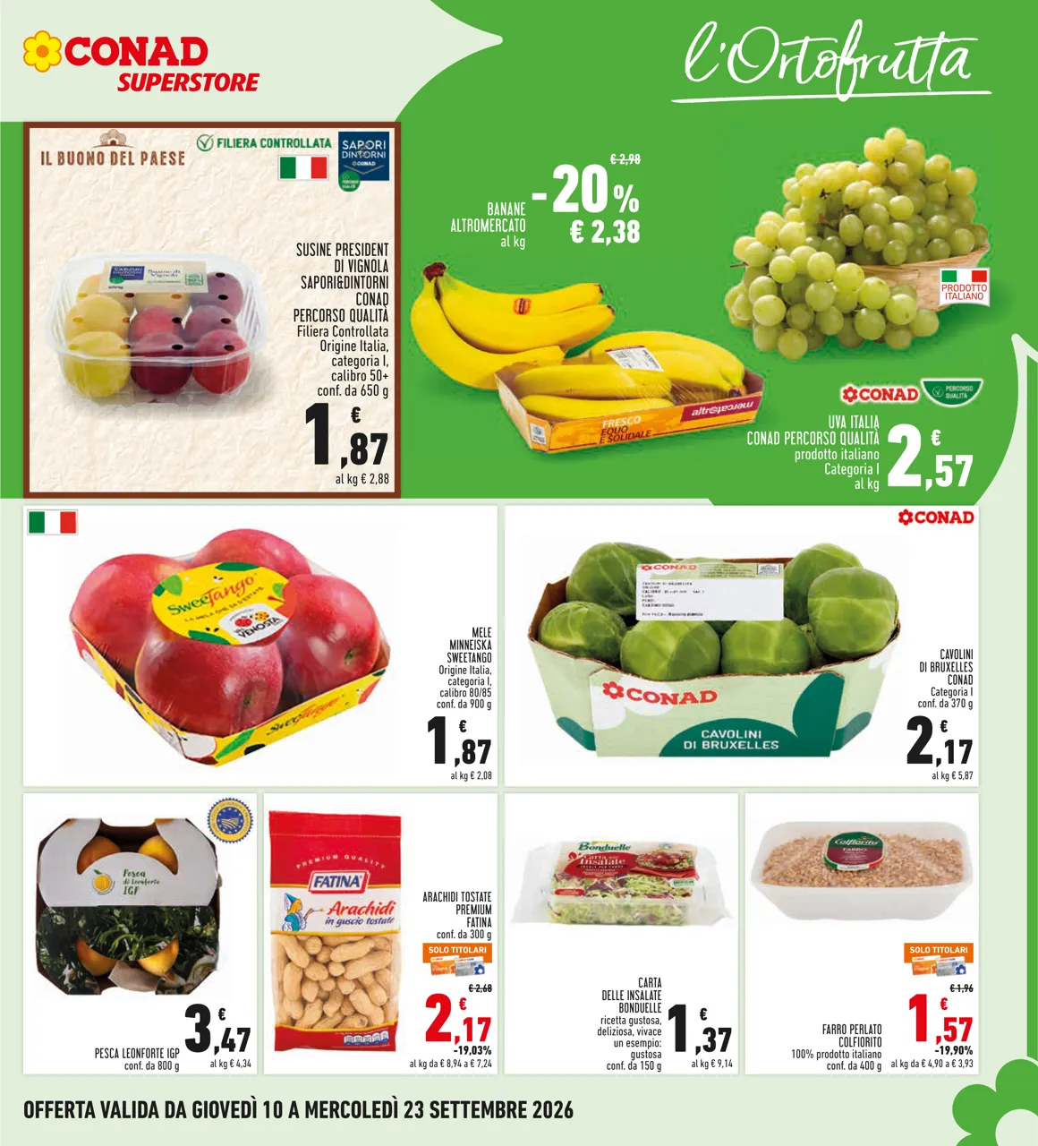 Pagina 5