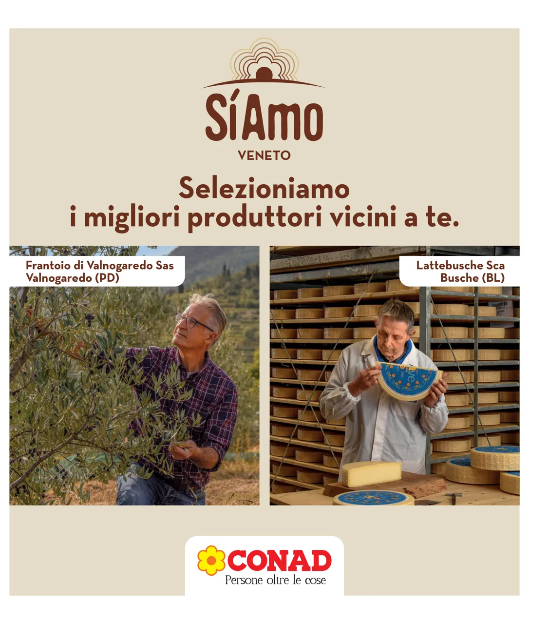 Pagina 31