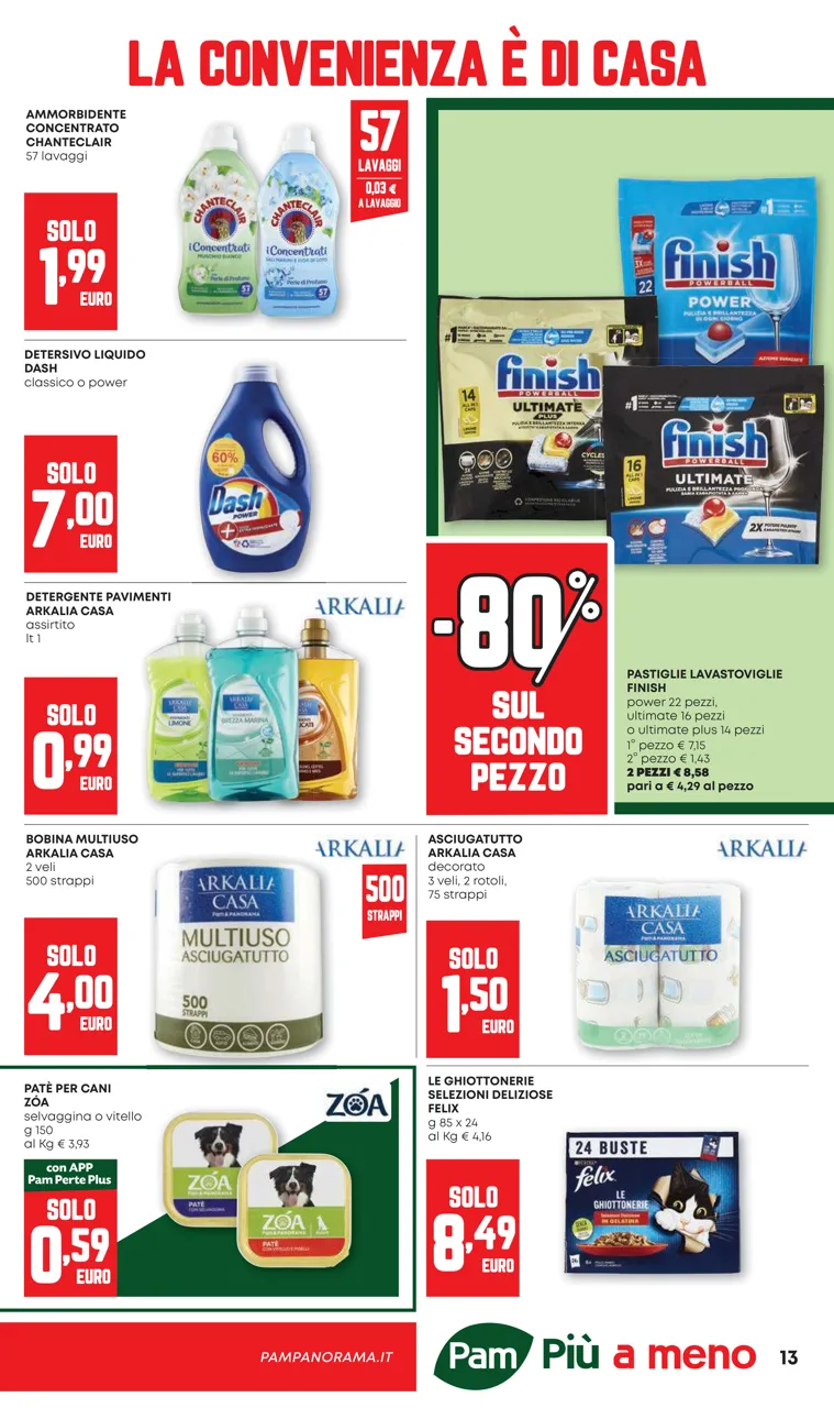 Pagina 13
