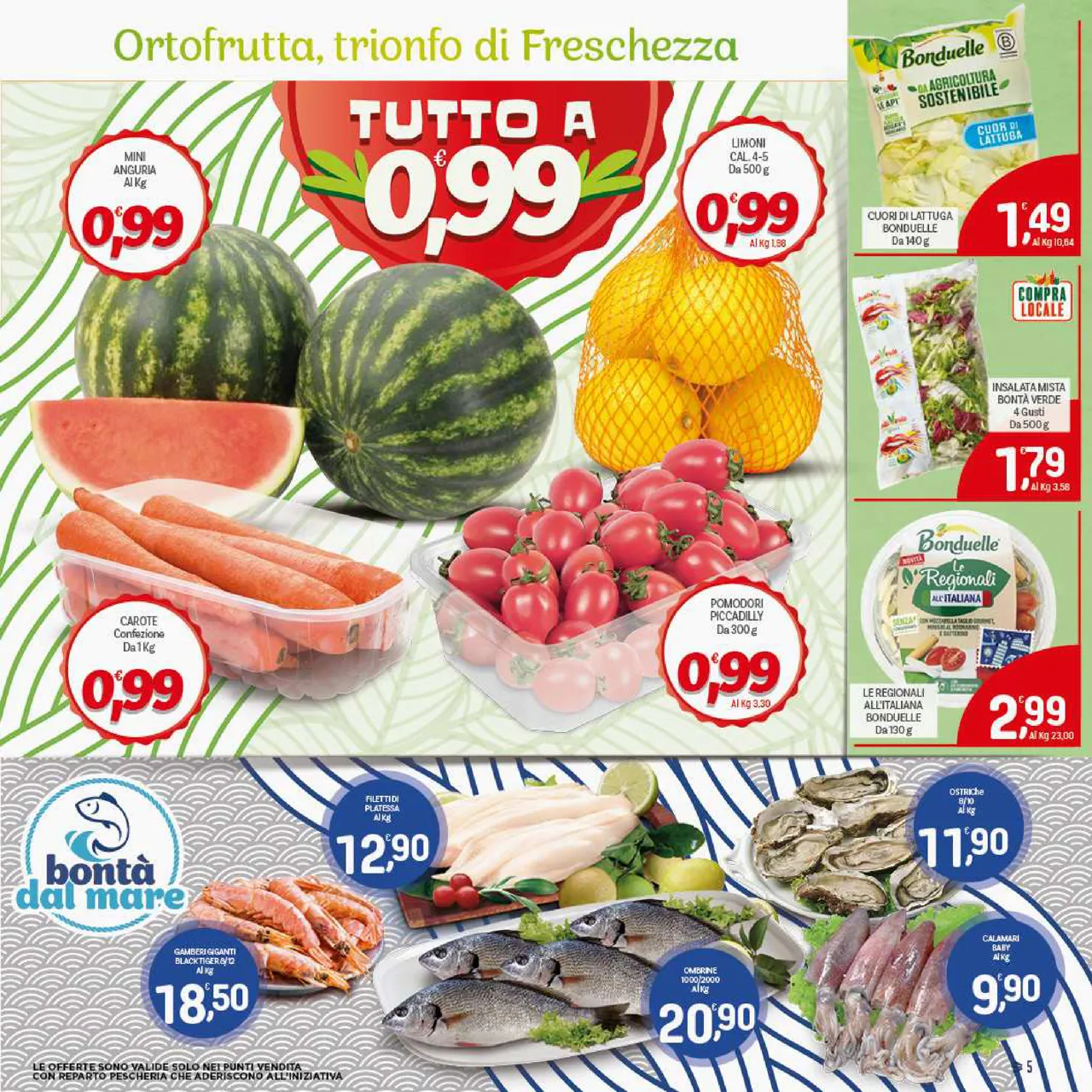 Pagina 5