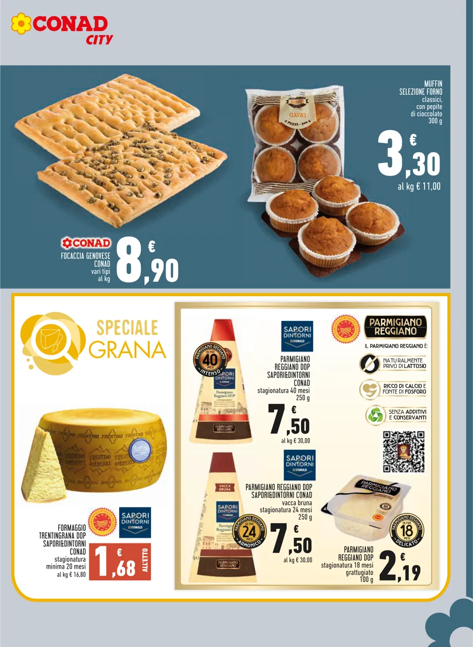 Pagina 11