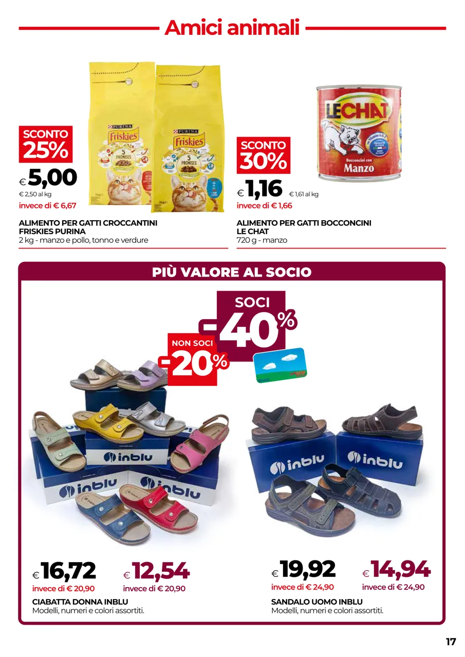 Pagina 17