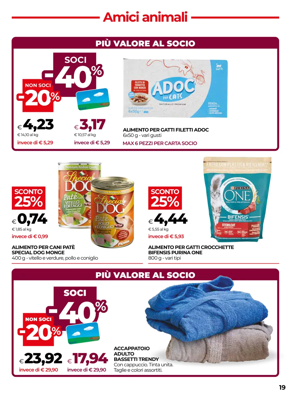 Pagina 19