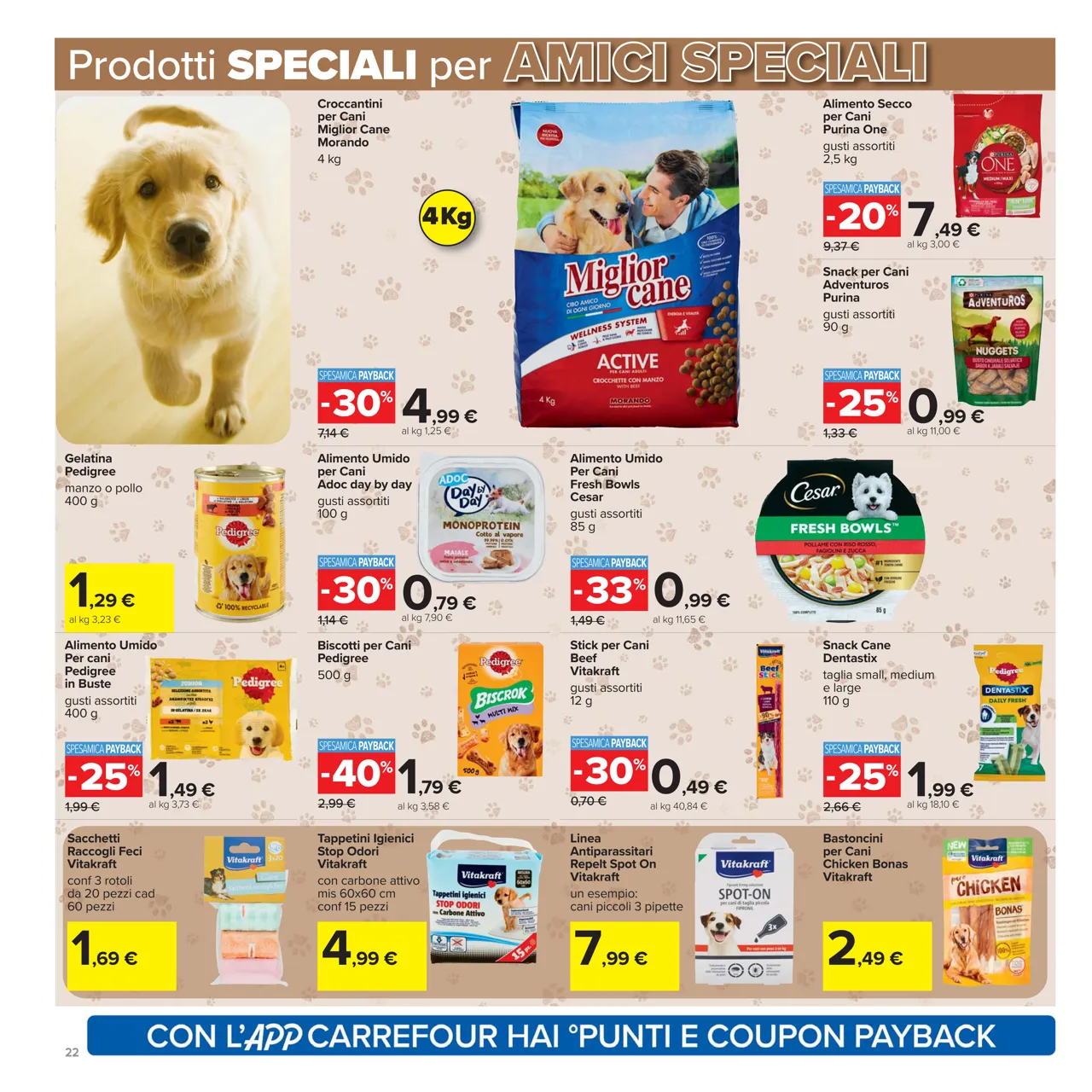 Pagina 22