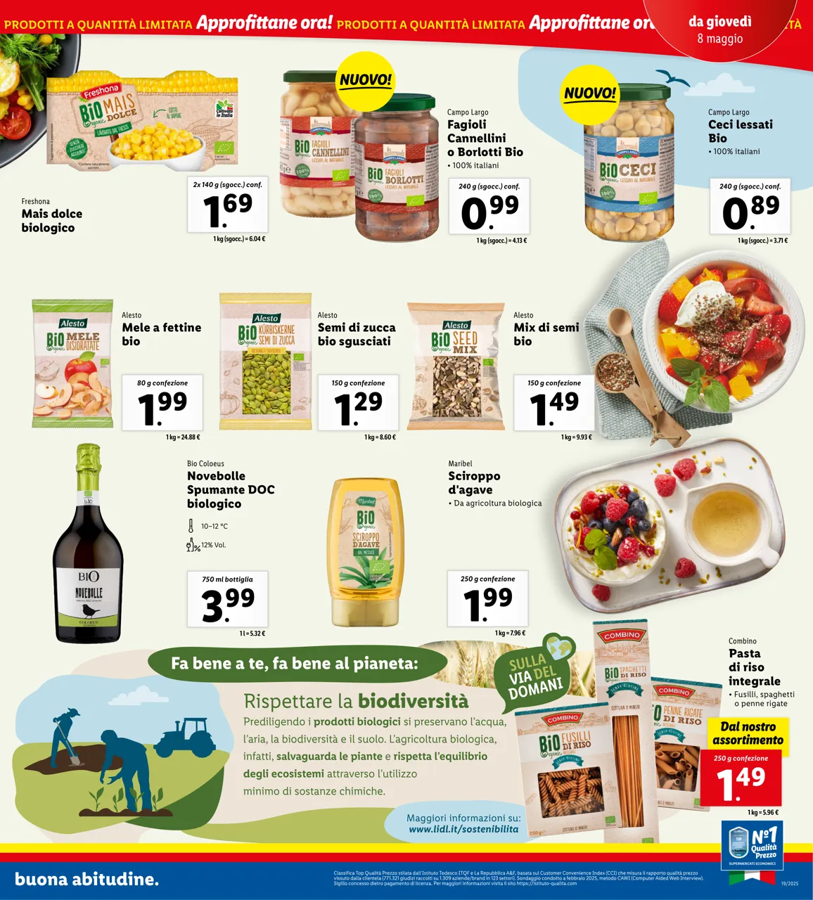 Pagina 19
