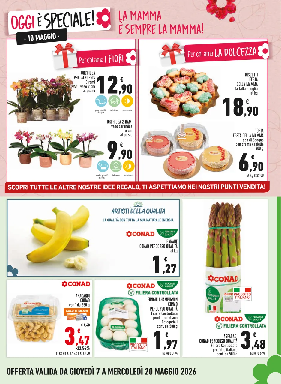 Pagina 5