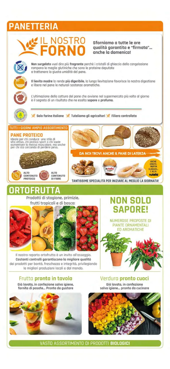 Pagina 6