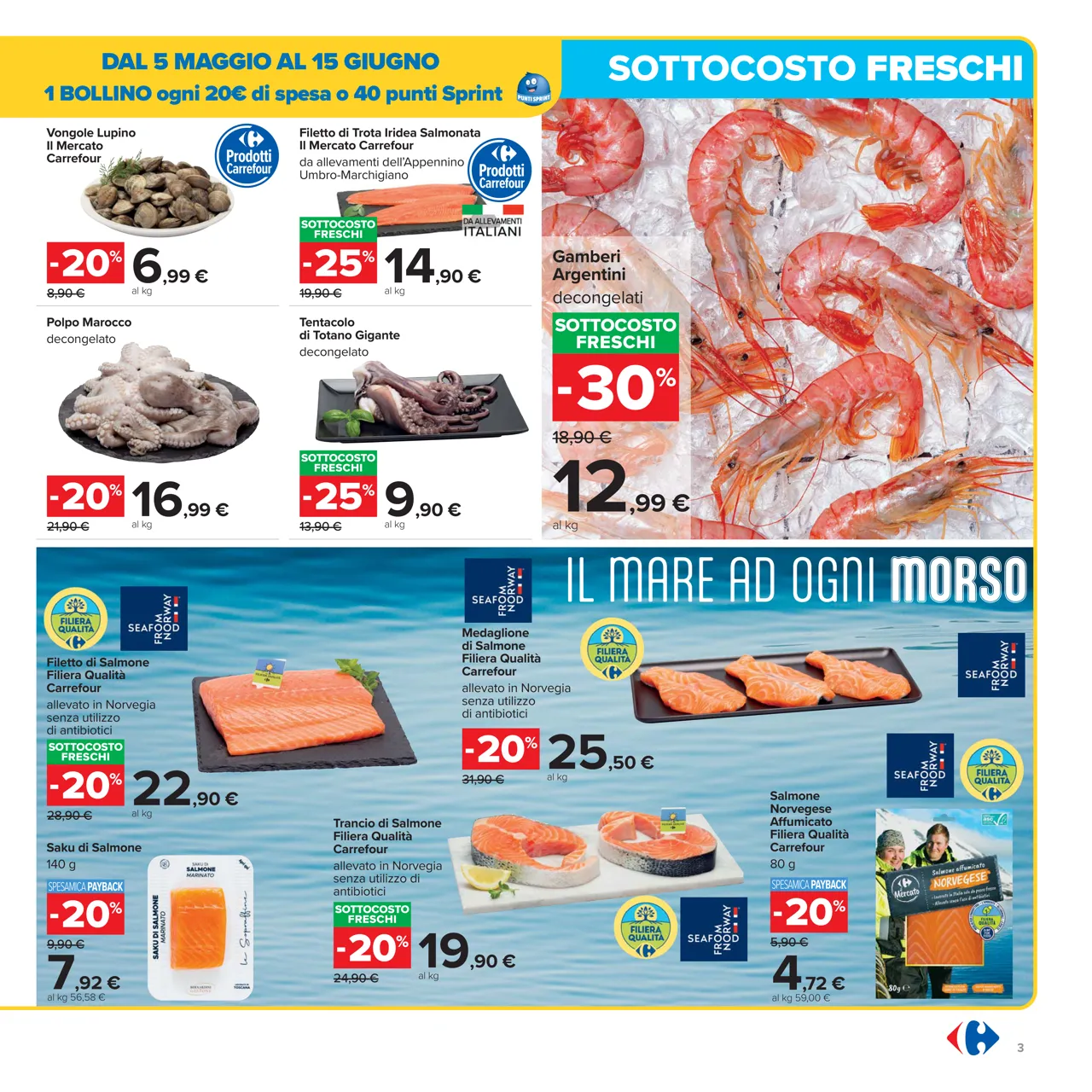 Pagina 3