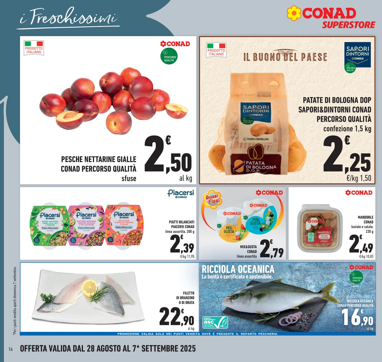 Pagina 14