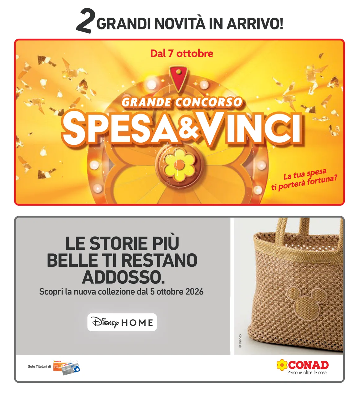 Pagina 41