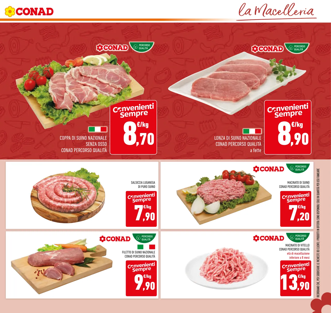 Pagina 13