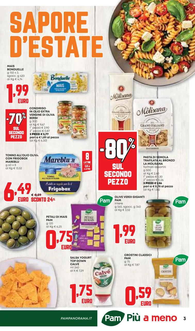 Pagina 3