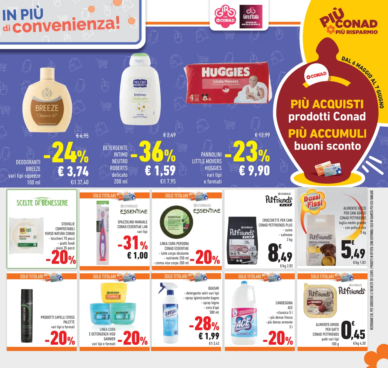 Pagina 31