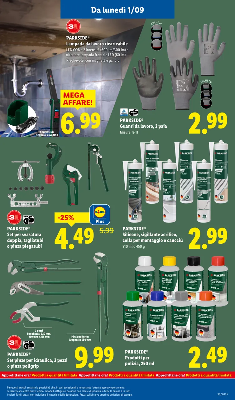 Pagina 31