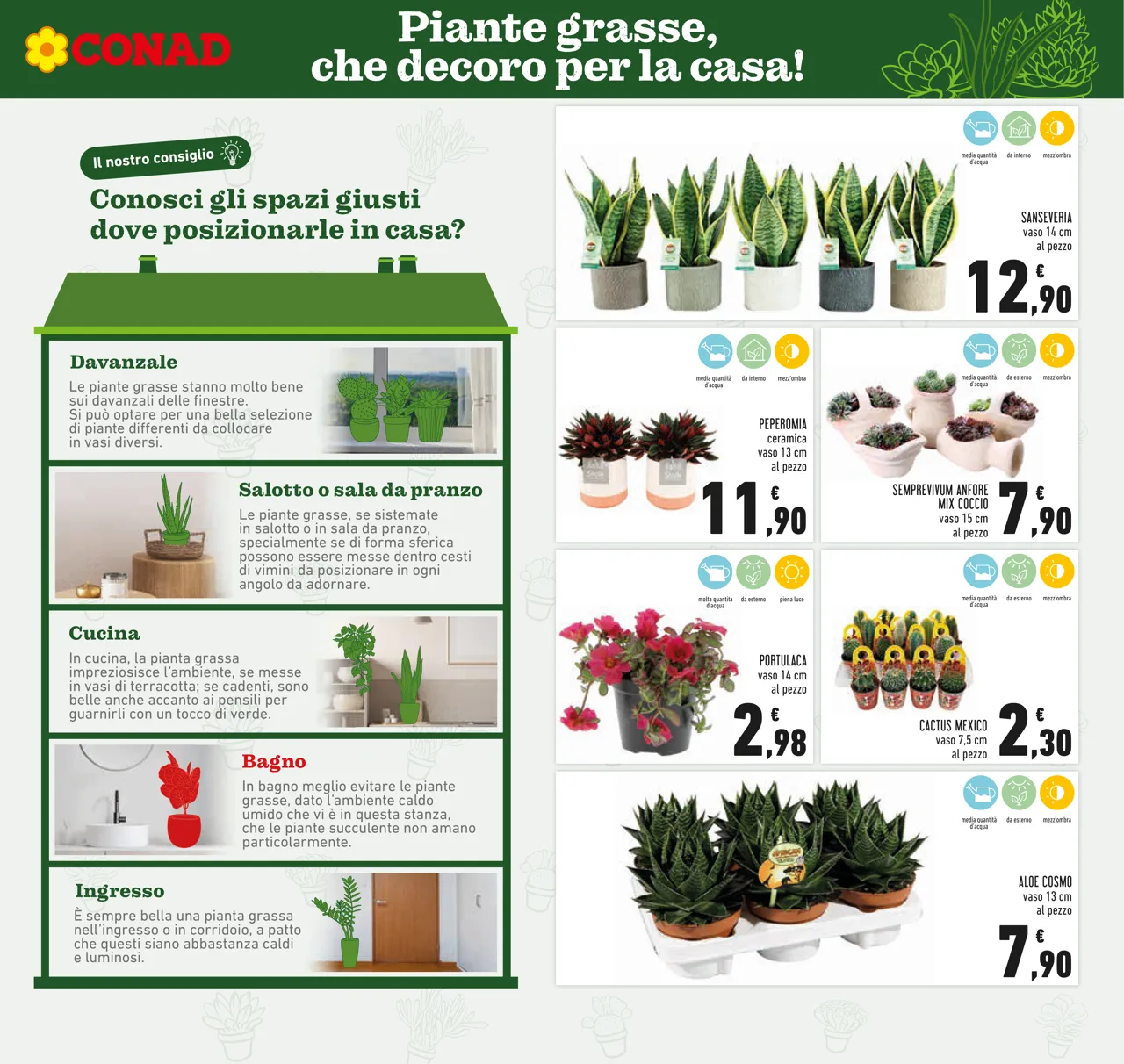 Pagina 9