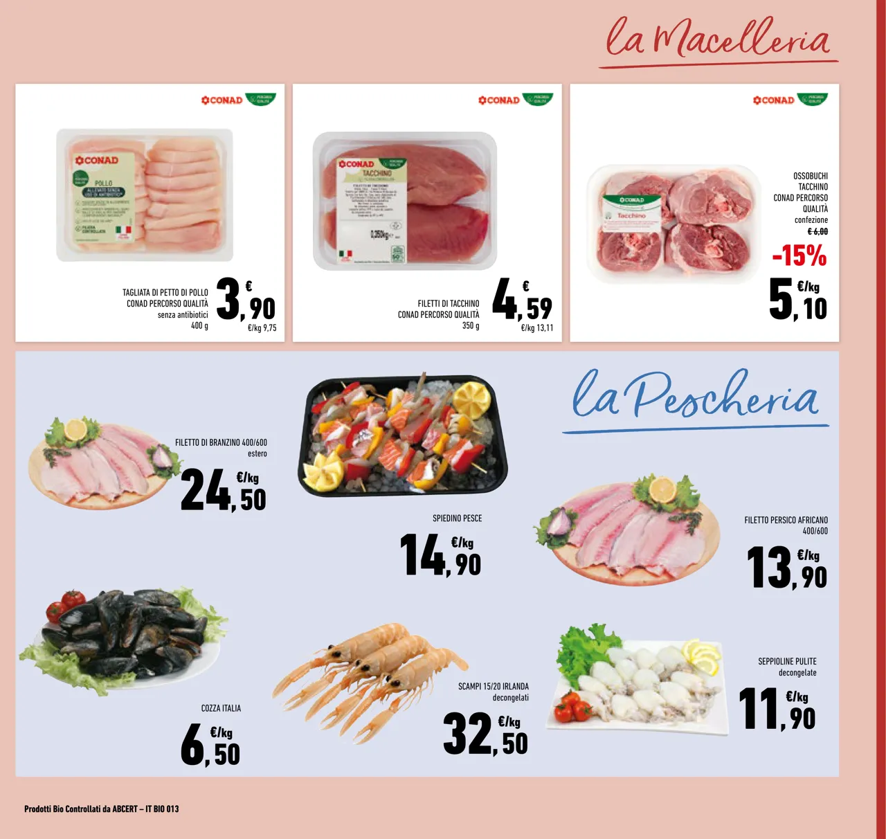 Pagina 5