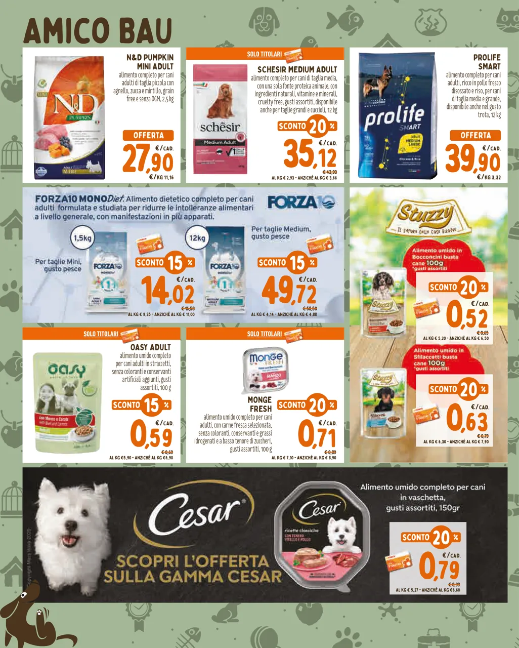 Pagina 2