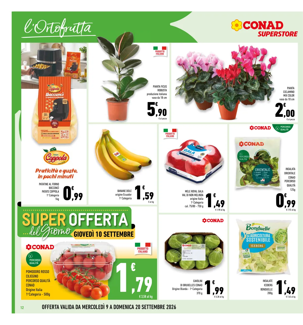 Pagina 12