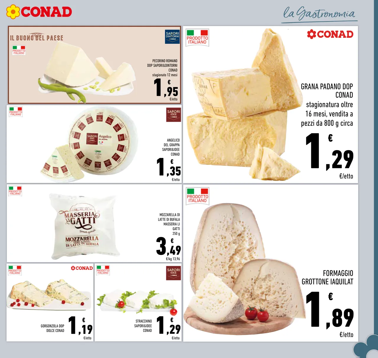 Pagina 7