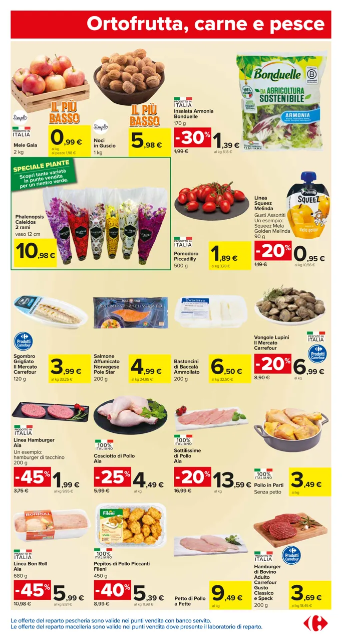 Pagina 5