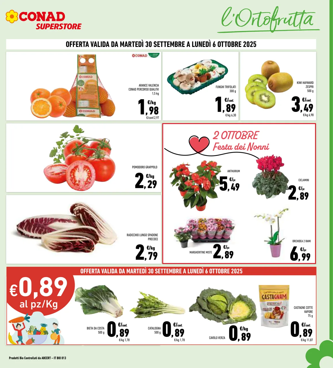 Pagina 3